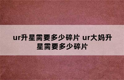 ur升星需要多少碎片 ur大妈升星需要多少碎片